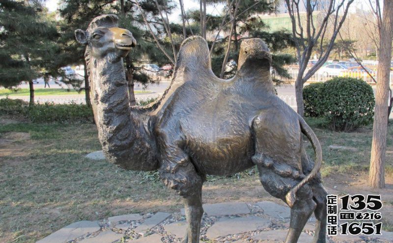 公園草地上擺放的回頭大玻璃鋼仿銅創(chuàng)意駱駝雕塑 公園草地上擺放的回頭大玻璃鋼仿銅創(chuàng)意駱駝雕塑