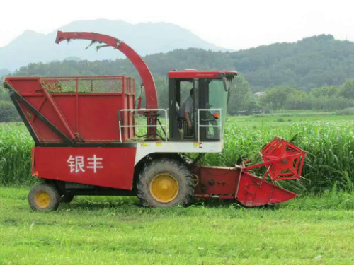 自走式青儲機你選對了嗎？銀豐青儲機好品質