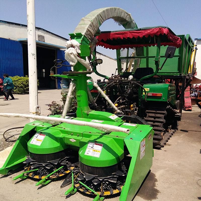 那些農民在夏季收獲的地方去了哪里？ 