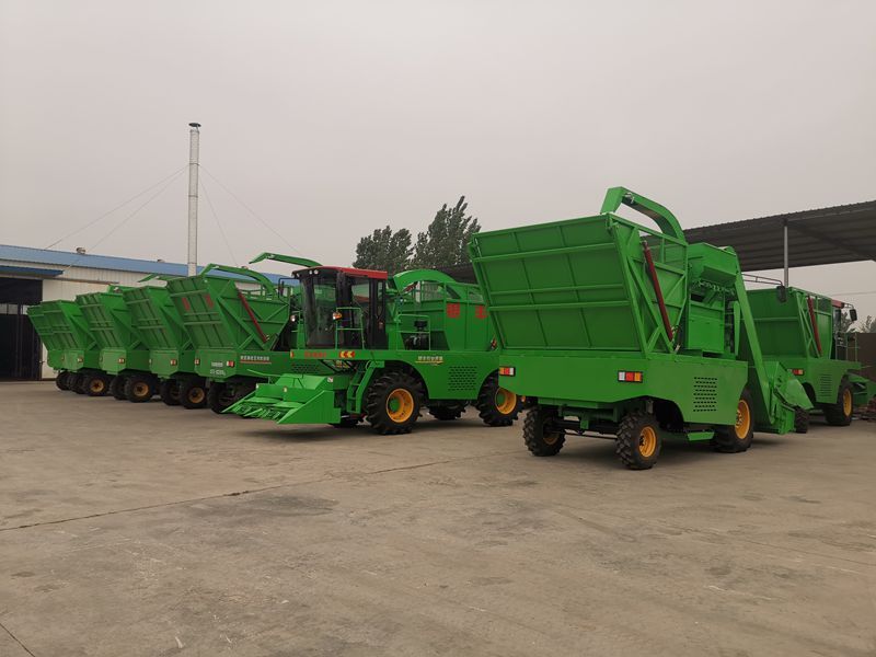 玉米青儲機帶領農民走上致富路！